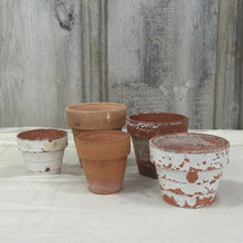 Load image into Gallery viewer, Five Flower Pots
