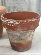 Load image into Gallery viewer, Five Flower Pots
