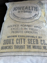 Load image into Gallery viewer, Iowealth/Sioux City Feed Sack Pillow
