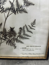 Load image into Gallery viewer, Pressed Flowers - PRINTED, not real

