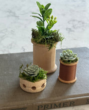 Load image into Gallery viewer, vintage home decor succulents spring
