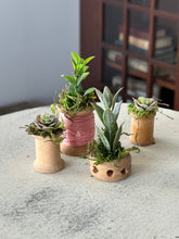 Load image into Gallery viewer, vintage home decor plants succulents spring
