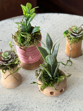 Load image into Gallery viewer, Mini Succulents 8

