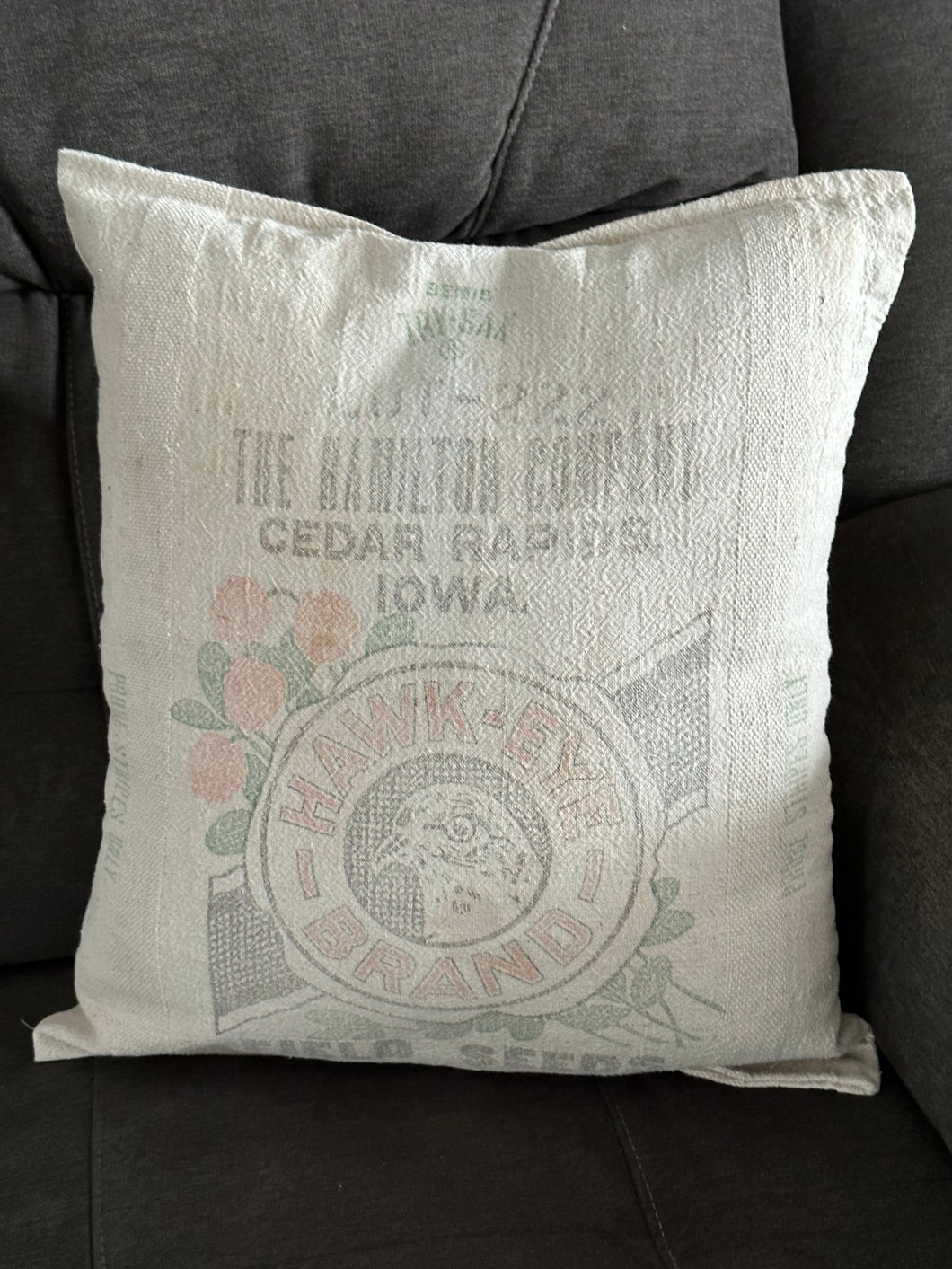Hawkeye Brand Field Seeds/Cedar Rapids pillow