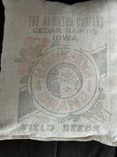 Load image into Gallery viewer, Hawkeye Brand Field Seeds/Cedar Rapids pillow

