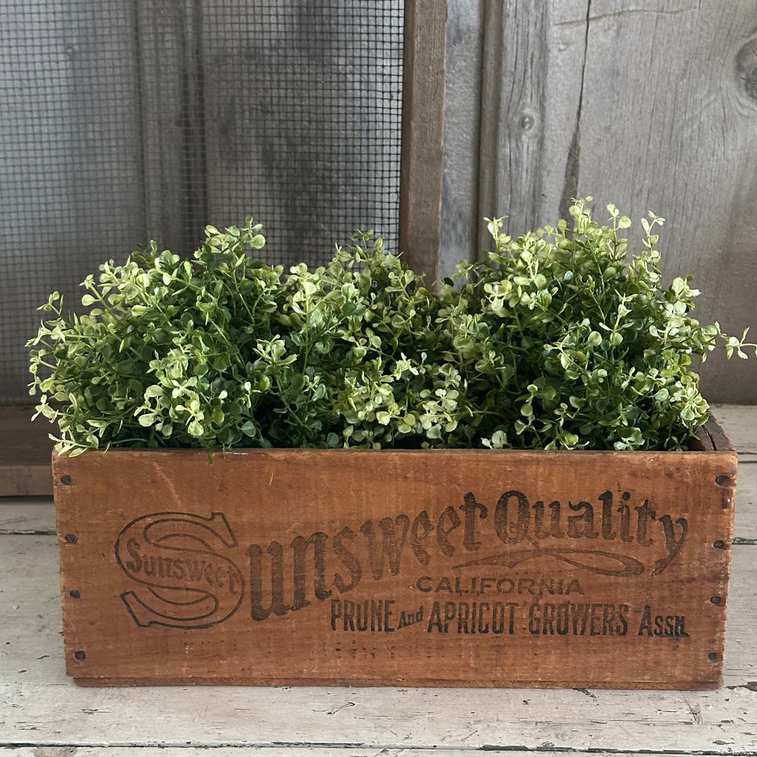 Sunsweet Prune Box