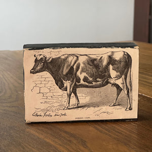 Farm Animal Block: Jersey Cow