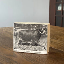 Load image into Gallery viewer, Farm Animal Block: Polled Shorthorn
