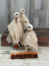 Load image into Gallery viewer, Tattered Ghost 6

