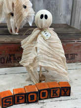 Load image into Gallery viewer, Tattered Ghost 2
