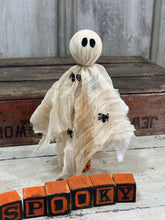 Load image into Gallery viewer, Tattered Ghost 5
