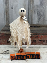 Load image into Gallery viewer, Tattered Ghost 6
