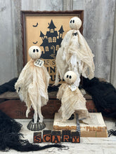 Load image into Gallery viewer, Tattered Ghost 12

