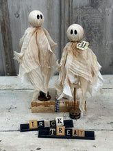 Load image into Gallery viewer, Tattered Ghost 18
