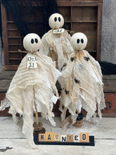Load image into Gallery viewer, Tattered Ghost 24
