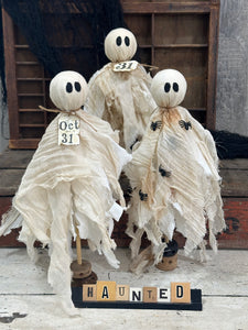 Tattered Ghost 24