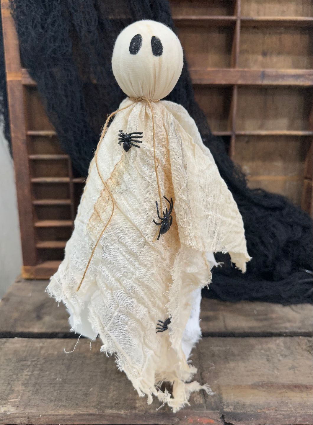Tattered Ghost 29