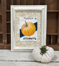 Load image into Gallery viewer, Kentucky Field Pumpkin Seed Packet
