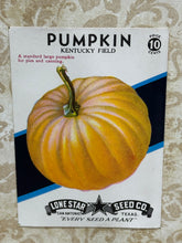 Load image into Gallery viewer, Kentucky Field Pumpkin Seed Packet
