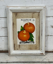 Load image into Gallery viewer, Sugar/Pie Pumpkin Seed
