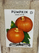 Load image into Gallery viewer, Sugar/Pie Pumpkin Seed

