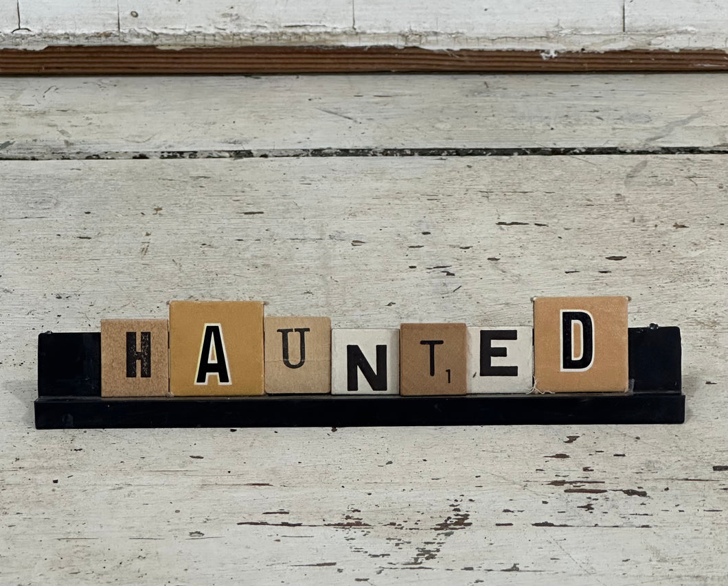 Haunted Tray (plastic tray)