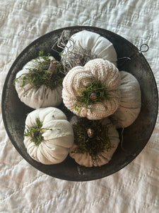 Pumpkin Set 1) Tarnished Strainer + 7 Littles