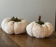 Load image into Gallery viewer, Pumpkin Set 2) Big White Chenille Set of 2
