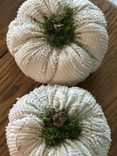 Load image into Gallery viewer, Pumpkin Set 2) Big White Chenille Set of 2
