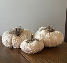 Load image into Gallery viewer, Pumpkin Set 3)  Chenille Set of 3
