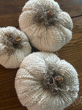 Load image into Gallery viewer, Pumpkin Set 3)  Chenille Set of 3
