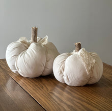 Load image into Gallery viewer, Pumpkin Set 4) White Fabric with Lace Ties
