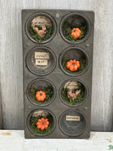 Load image into Gallery viewer, Pumpkin Muffin Tin: cool air/autumn
