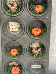Pumpkin Muffin Tin: cool air/autumn