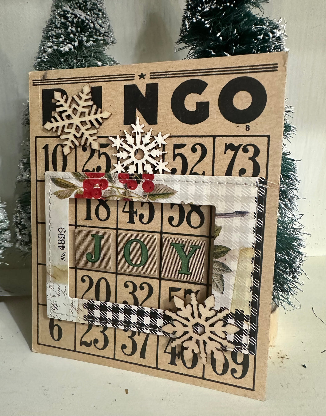 6} Joy in Frame, Flakes