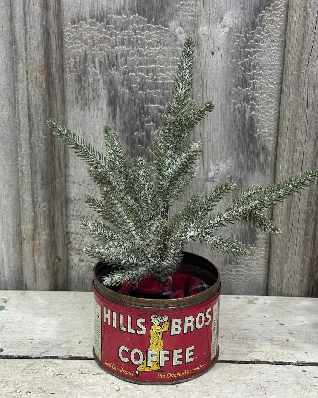 Tree in Hills Bros Tin [LOCAL PICK UP ONLY]