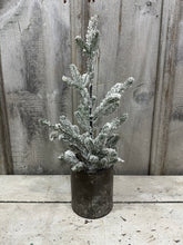Load image into Gallery viewer, Flocked Tree in Old Paint Can [LOCAL PICK UP ONLY]

