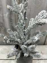 Load image into Gallery viewer, Flocked Tree in Old Paint Can [LOCAL PICK UP ONLY]
