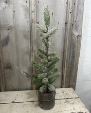 Load image into Gallery viewer, Tree in Paint Can [LOCAL PICK UP ONLY]
