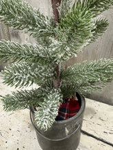 Load image into Gallery viewer, Tree in Paint Can [LOCAL PICK UP ONLY]
