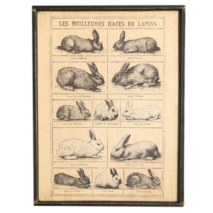 Vintage Print ~ French Bunny Chart