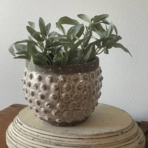 Polka Dot Planter
