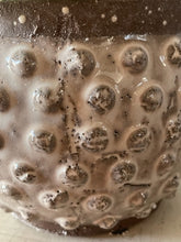 Load image into Gallery viewer, Polka Dot Planter
