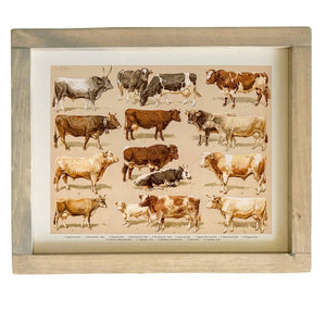 Cow Chart Vintage Style Canvas Print